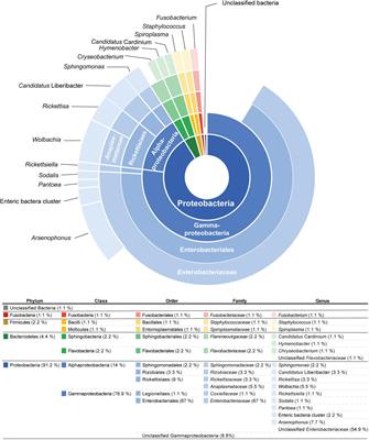 Uncovering Symbionts Across the Psyllid Tree of Life and the Discovery of a New Liberibacter Species, “Candidatus” Liberibacter capsica